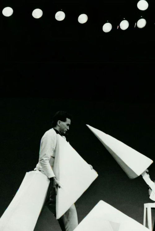 Solide Salad (1984) poster