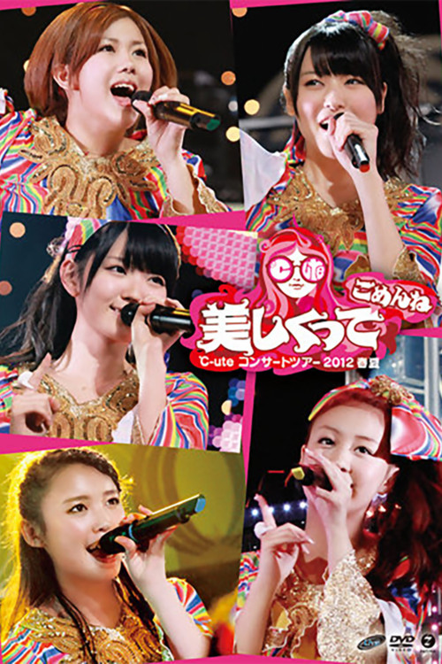 ℃-ute 2012 Spring-Summer ~Utsukushikutte Gomen ne~ (2012) poster