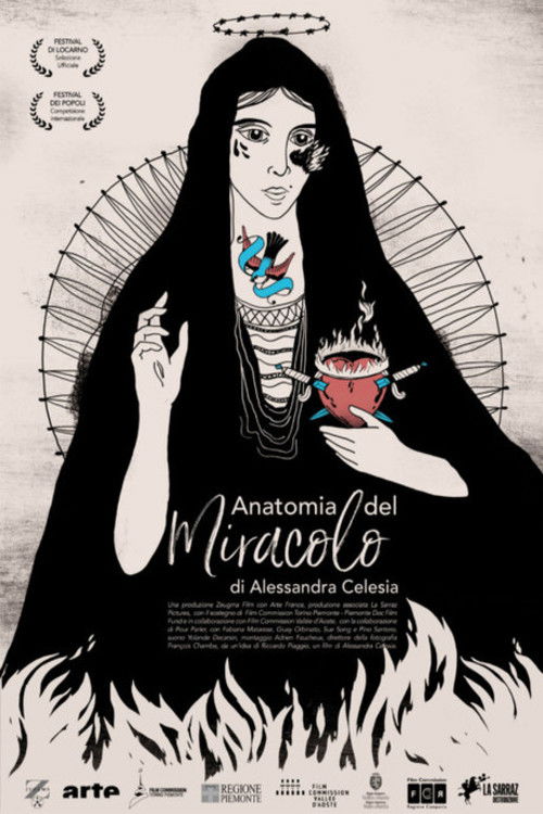 Anatomia del miracolo (2017) poster