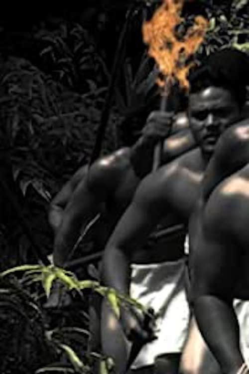 Ka'ililauokekoa (2000) poster