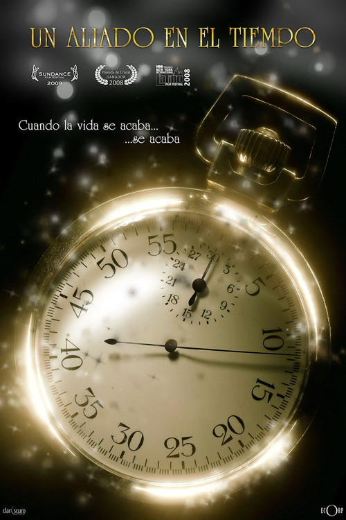 An Ally in Time (2008) poster