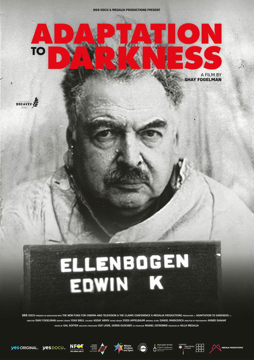 Adaptation to Darkness poster