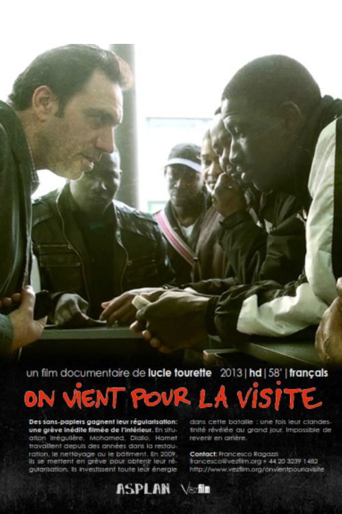 Coming for a Visit (2013) poster