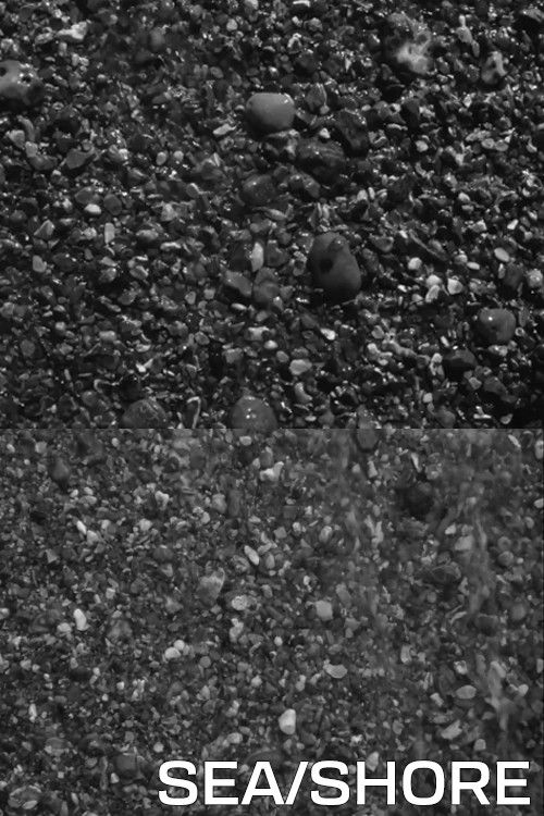 Sea/Shore (1979) poster