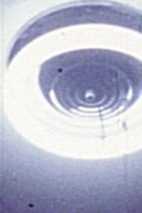 Film Notebook: Part 2 (Some of Us in the Mechanical Age) (1975) poster