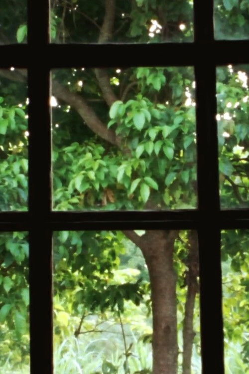 The Unnamed II (2012) poster