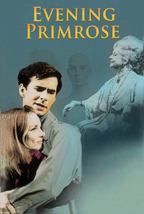 Evening Primrose (1966) poster