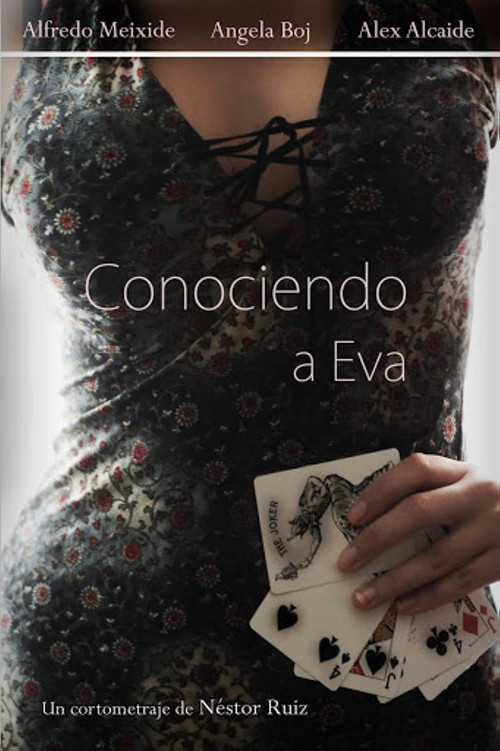 Conociendo a Eva (2010) poster