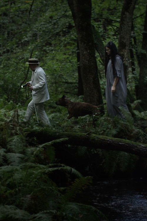 The Music Box (2017) poster