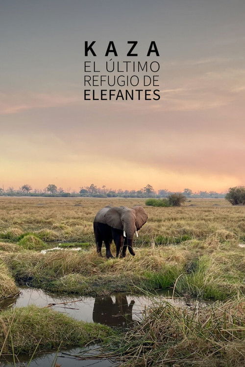 Kaza. El último refugio de elefantes (2025) poster