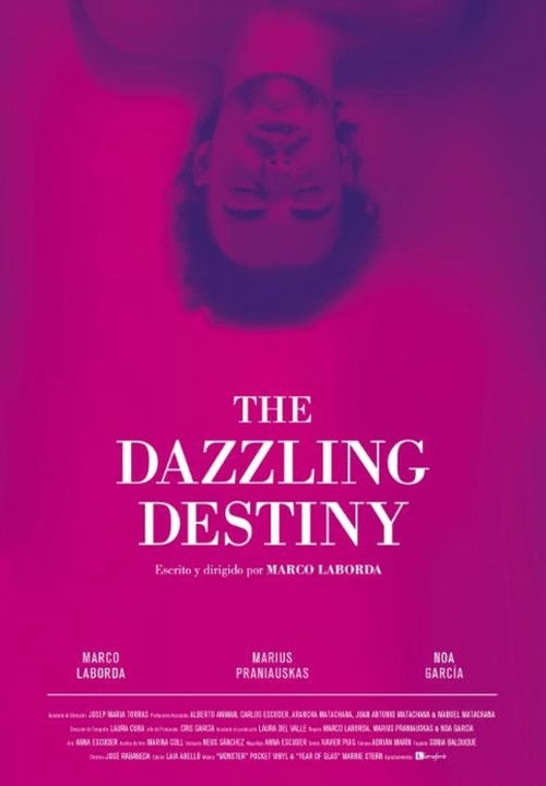 The Dazzling Destiny (2013) poster