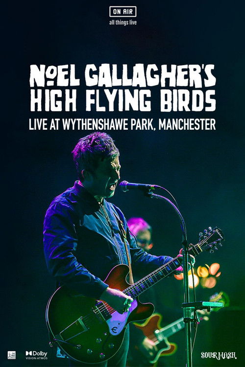 Noel Gallagher's High Flying Birds - Live at Wythenshawe Park, Manchester (2023) poster