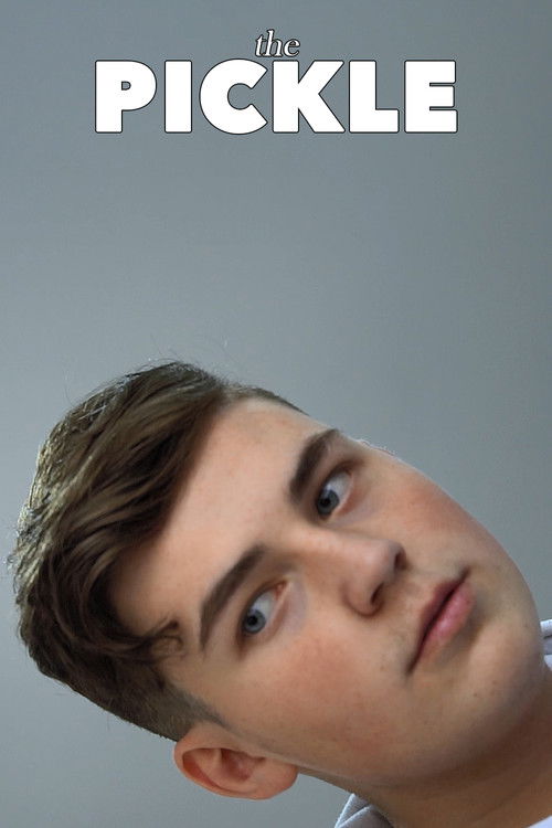 The Pickle (2019) poster