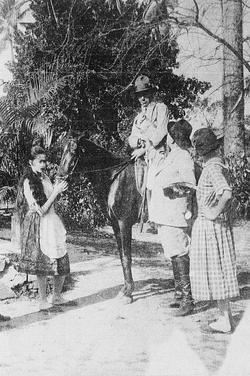 O Destino das Rosas (1930) poster