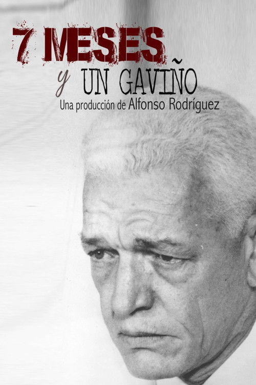 7 meses y un Gaviño (2020) poster