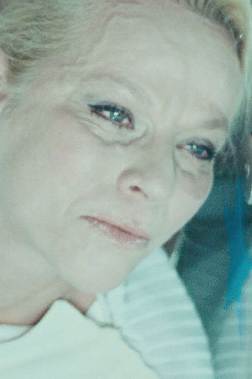 A Voyage in Dwelling (2008) poster