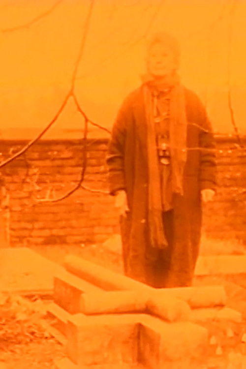 The Grove (1993) poster