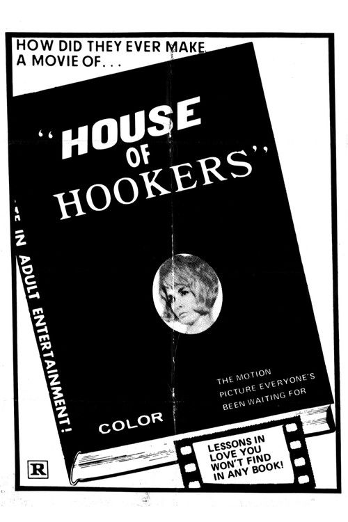 A Touch of the Other (1970) poster