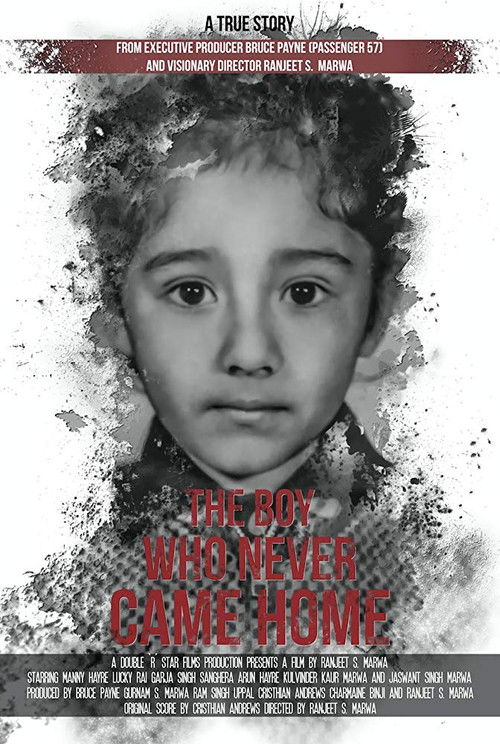 The Boy Who Never Came Home: A True Story (2018) poster