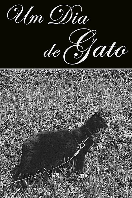 Um Dia de Gato (2023) poster