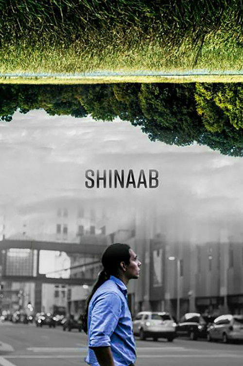Shinaab (2017) poster