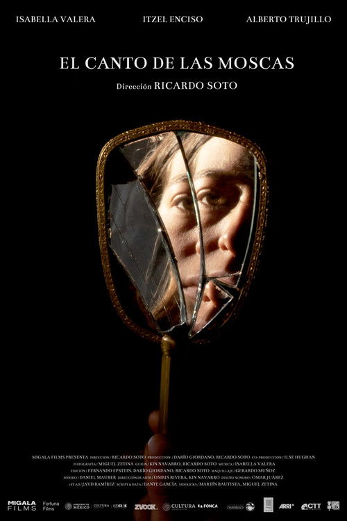 The singing of the flies (2023) poster