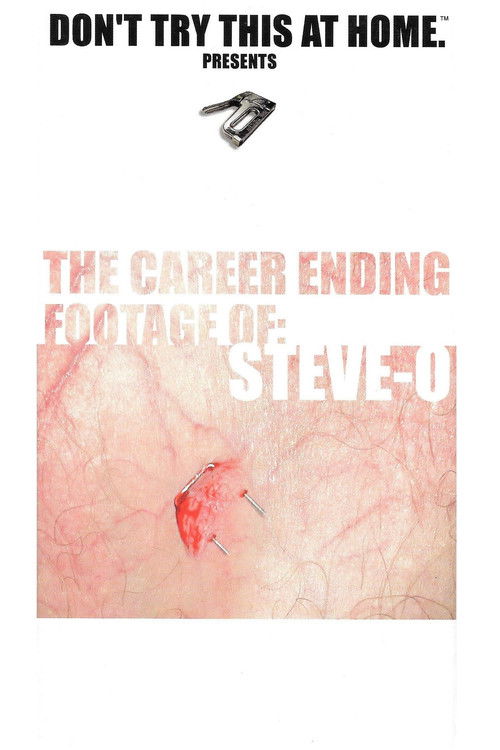 The Career Ending Footage of: Steve-O (2001) poster