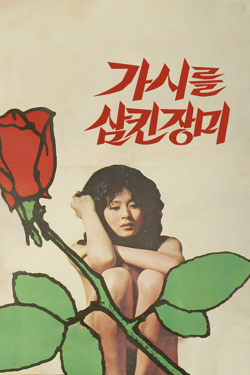 가시를 삼킨 장미 (1979) poster