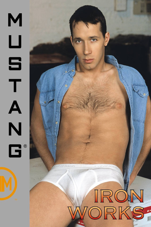 Iron Works (2003) poster