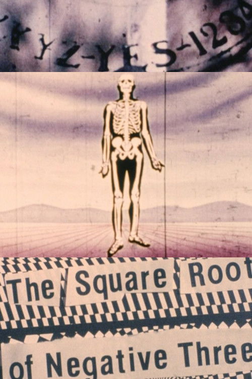 The Square Root of Negative Three (1991) poster
