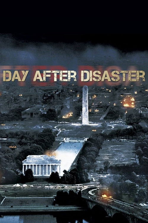 Day After Disaster (2009) poster