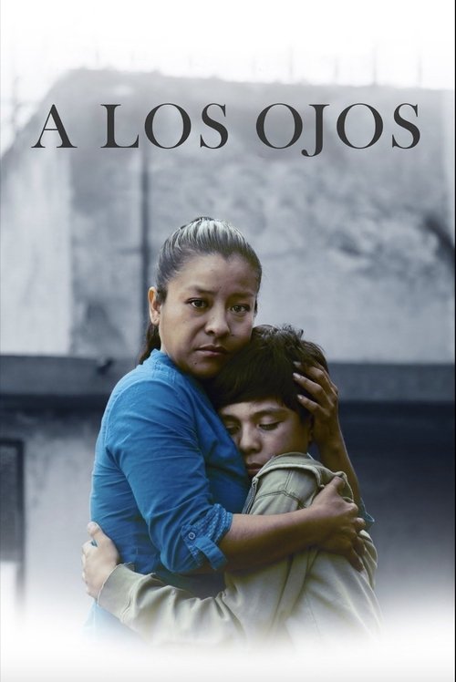 Through the Eyes (2013) poster