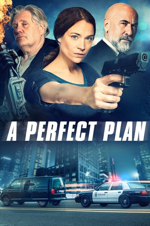 A Perfect Plan (2020) poster