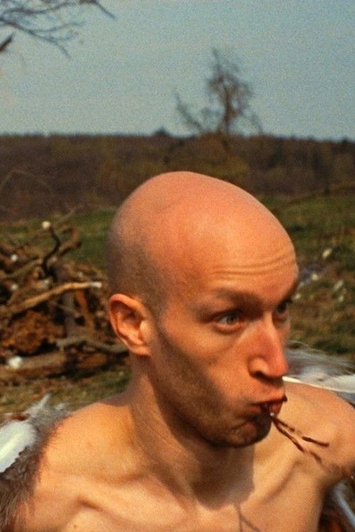 Love Birds (2010) poster