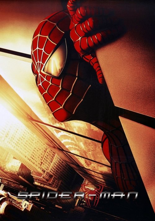 Spider-Man: The Mythology of the 21st Century (2002) poster