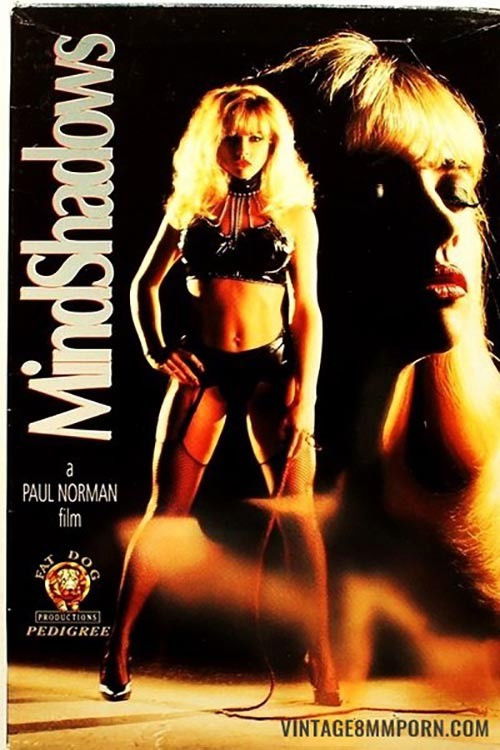 Mind Shadows (1993) poster