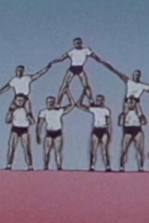 Shapes Of Movement (2002) poster