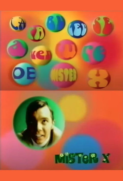 La Fabuleuse Aventure de Mister X (1996) poster
