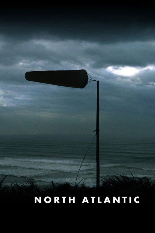 North Atlantic (2010) poster
