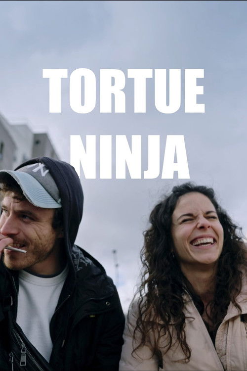 Tortue Ninja (2025) poster
