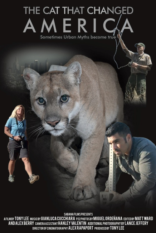 The Cat That Changed America (2017) poster