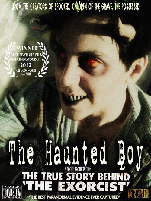 The Haunted Boy: The Secret Diary of the Exorcist (2010) poster