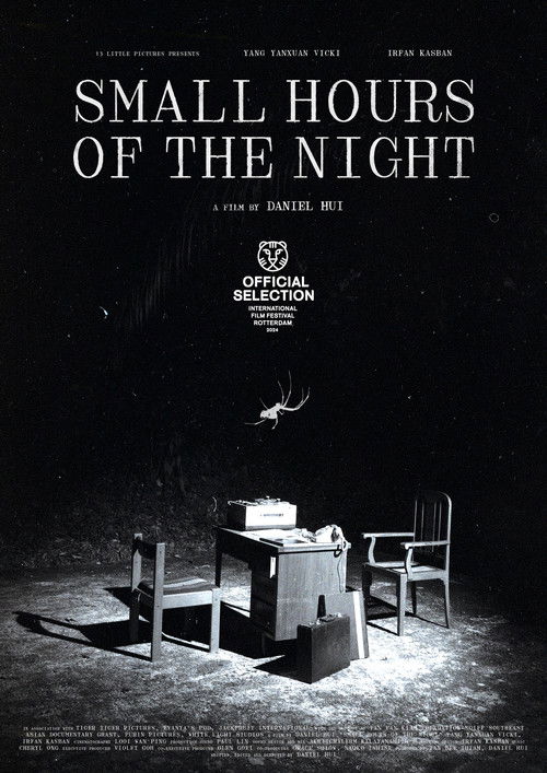 Small Hours of the Night (2024) poster