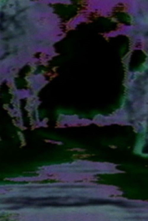 15 Soldiers, 11 Machines, 8 Cows (1983) poster