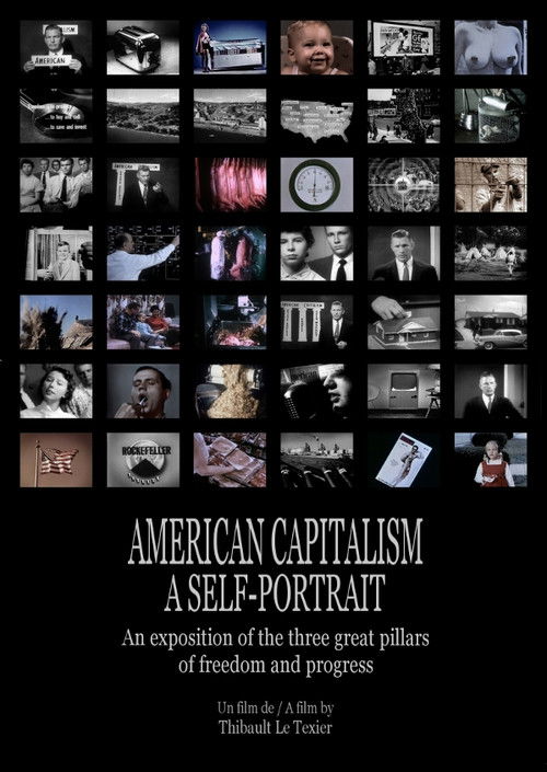 American Capitalism, A Self-Portrait (2013) poster