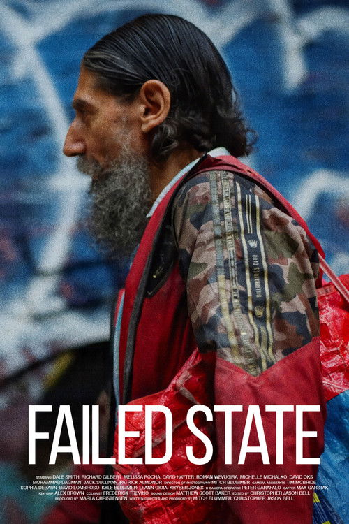 Failed State (2024) poster