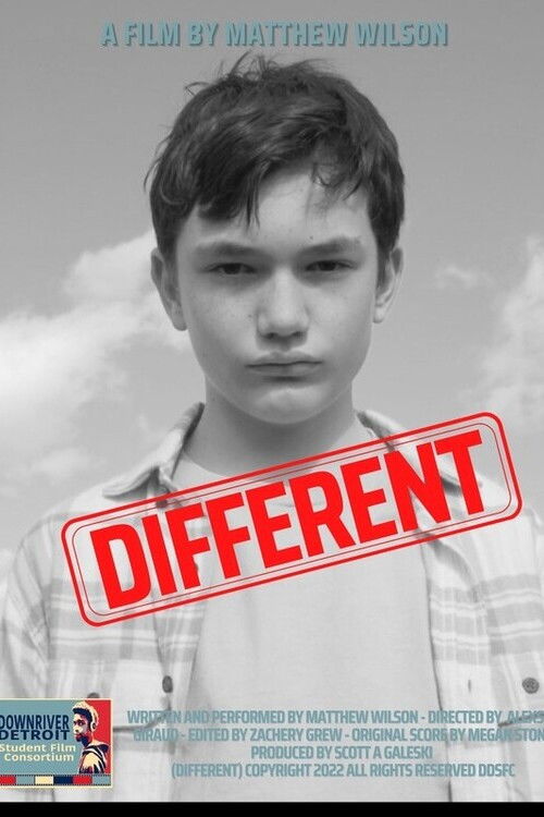 Different (2022) poster