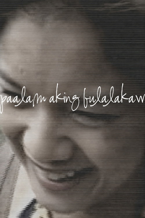 Paalam Aking Bulalakaw (2006) poster