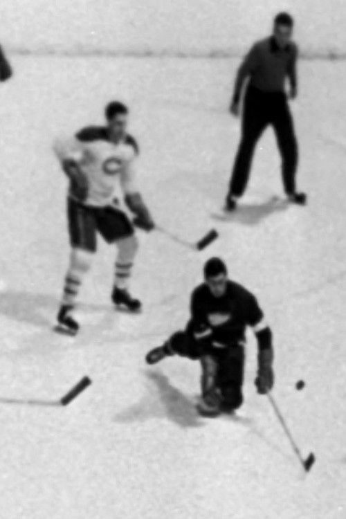 Mon numéro 9 en or (1972) poster