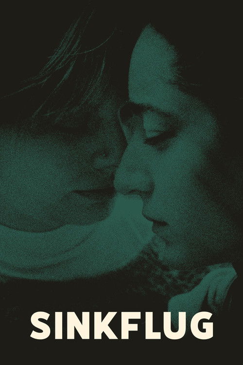 Sinkflug (2026) poster